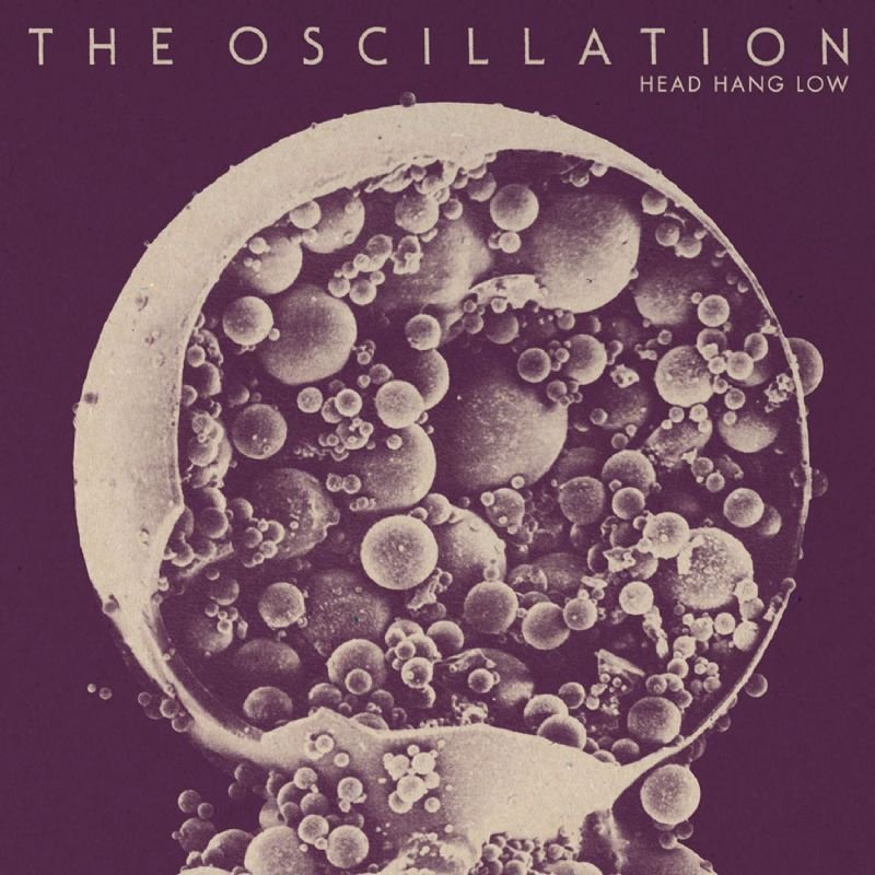 The Oscillation
