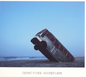 Zeppet Store - Gooseflesh (2000) :: maniadb.com