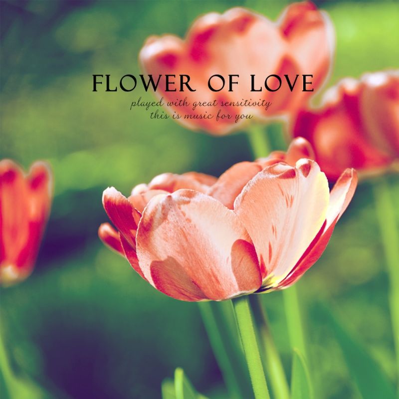 flower-garden-flower-of-love-digital-single-2014-maniadb