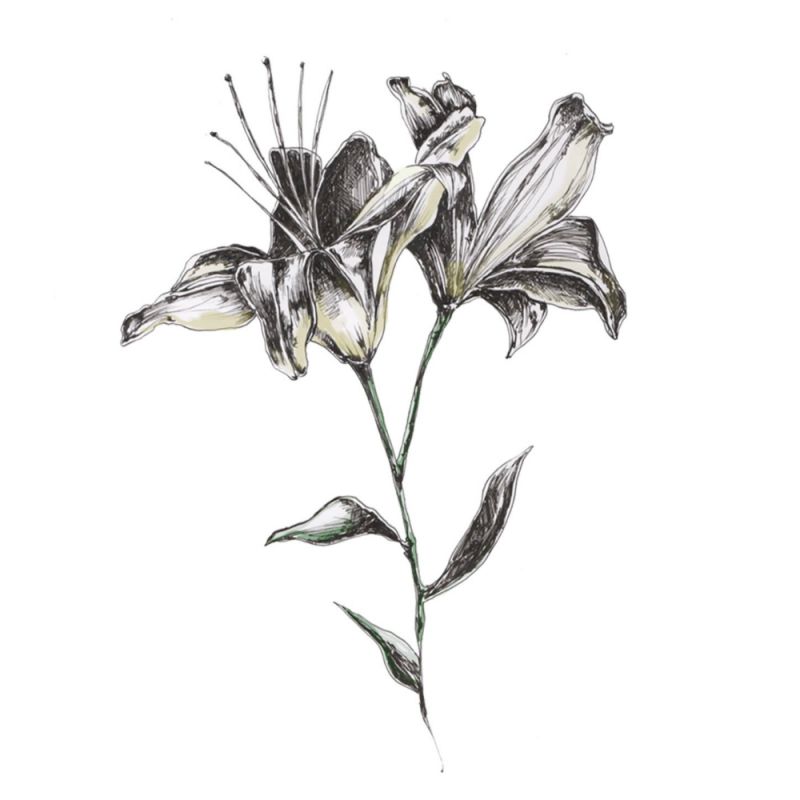 1 digital Single 2016 Maniadb 1 digital Single 2016 Maniadb