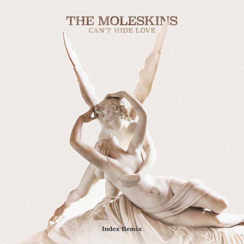 The Moleskins