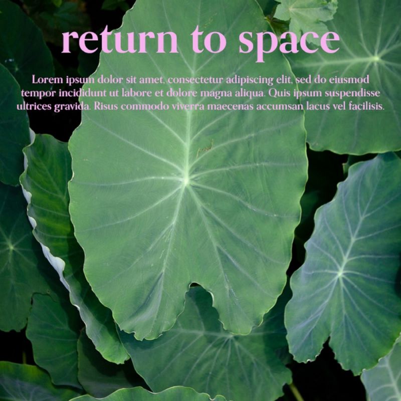 return-to-space-2020-maniadb